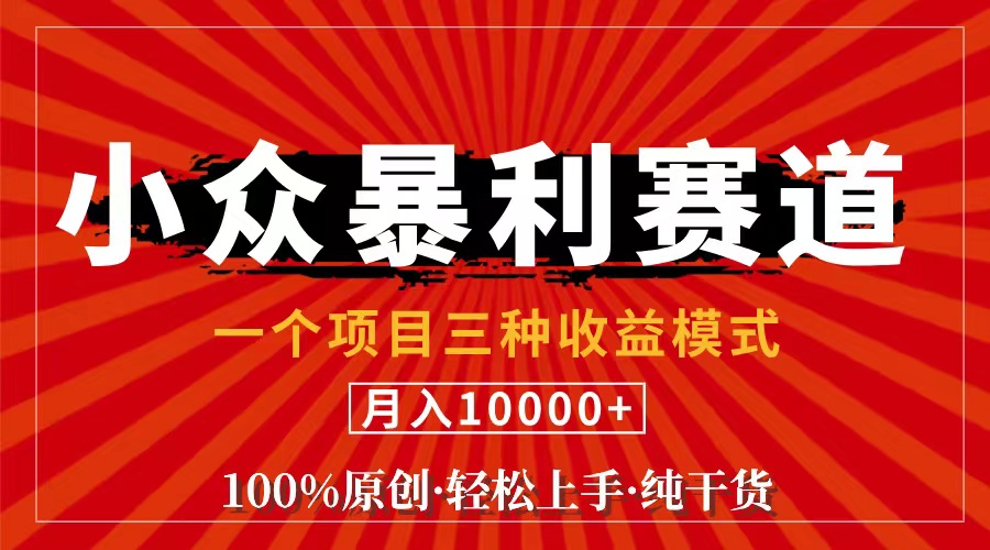 （11695期）视频号【中老年粉深信不疑】小众赛道 100%原创 手把手教学 新号3天收益…-聊项目
