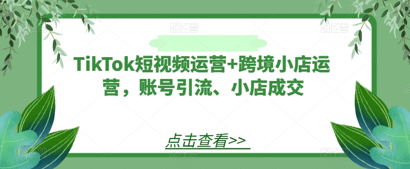 TikTok短视频运营+跨境小店运营,账号引流、小店成交-聊项目