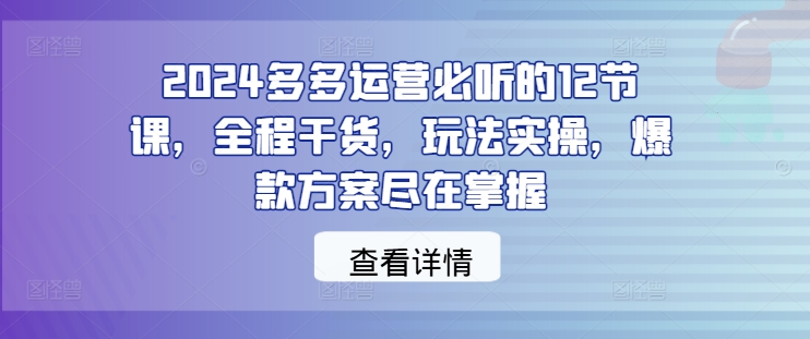 2024多多运营必听的12节课，全程干货，玩法实操，爆款方案尽在掌握-聊项目