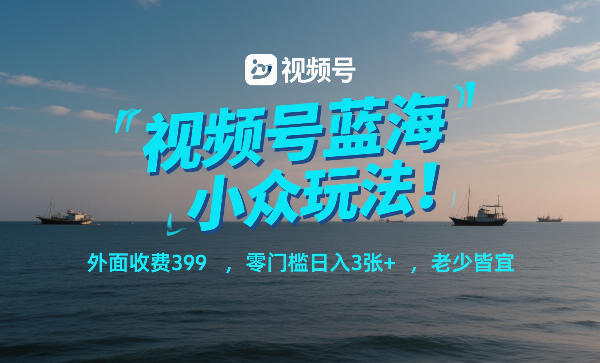 视频号蓝海小众玩法！外面收费399，零门槛日入3张+，老少皆宜-聊项目