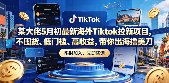 某大佬5月初最新海外Tiktok拉新项目，不囤货、低门槛、高收益，带你出海撸美刀-聊项目