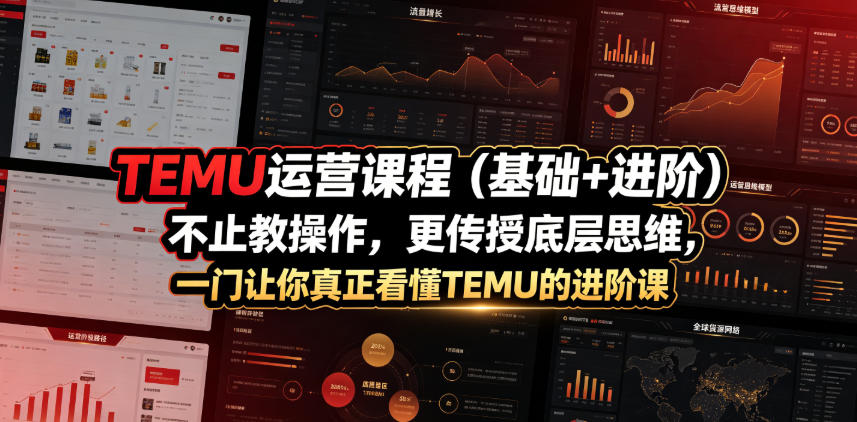 TEMU运营课程(基础+进阶)，不止教操作，更传授底层思维，一门让你真正看懂TEMU的进阶课-聊项目