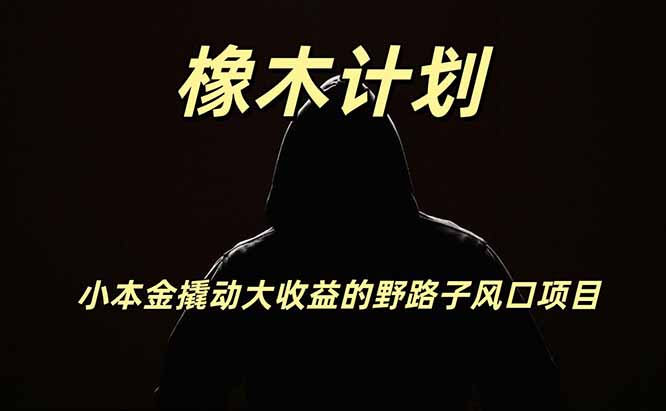 橡木计划，小投入撬动高回报的风口野路子项目，一天投入2小时左右-聊项目