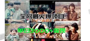 （11546期）全网爆火的AI让老照片动起来教程，蹭热点日赚3000+，内含免费工具一键…-聊项目