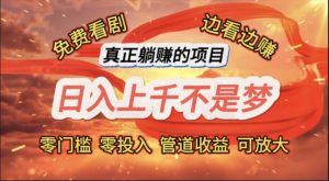 (11866期)免费看剧,边看边赚,日入上千不是梦,一个真正的躺赚项目-聊项目