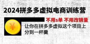 （12024期）2024拼多多虚拟电商训练营 不s单 不改销量  做虚拟项目分一杯羹(更新10节)-聊项目