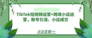 TikTok短视频运营+跨境小店运营,账号引流、小店成交-聊项目