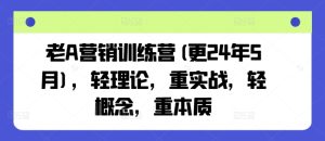 老A营销训练营(更24年9月)，轻理论，重实战，轻概念，重本质-聊项目