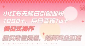 小红书无脑每日引流创业粉500+，小白每天只花半小时，躺赚长尾收益【揭秘】-聊项目