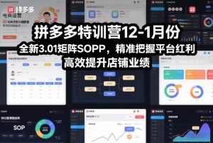 拼多多特训营12-1月份，全新3.01矩阵Sop，精准把握平台红利，高效提升店铺业绩-聊项目