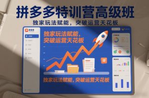 拼多多特训营高阶班，独家玩法赋能，突破运营天花板(更新26年1月)-聊项目