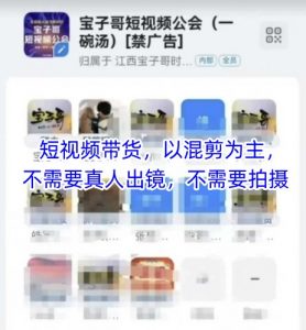 宝子哥头部团队短视频带货,以混剪为主,不需要真人出镜,不需要拍摄【更新26年1月】-聊项目