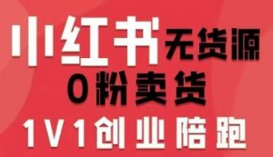 小红书无货源0粉电商课,开店准备、选品策略、笔记撰写、视频剪辑、数据分析、账号打造、资料文档(更新26年1月)-聊项目