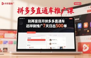 拼多多直通车推广课,别再盲目开拼多多直通车,这样做推广7天日出500单-聊项目