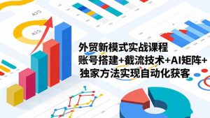 外贸新模式实战课程-更新2月,账号搭建+截流技术+AI矩阵+独家方法实现自动化获客-聊项目