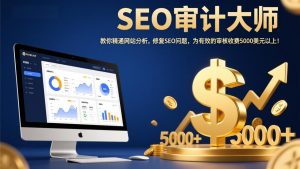 SEO审计大师:教你精通网站分析,修复SEO问题,为有效的审核收费5000美元以上!-聊项目