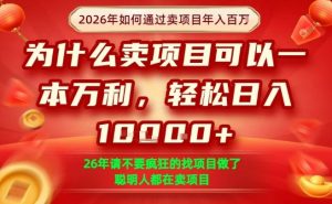 一单净利润1K+,26年想年入100个W,死磕卖项目就够了【揭秘】-聊项目