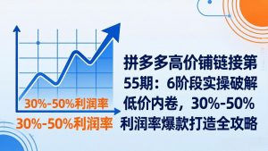 拼多多高价铺链接第55期：6阶段实操破解低价内卷，30%-50%利润率爆款打造全攻略-聊项目