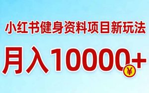 小红书健身资料项目最新玩法,月入10000+,收益潜力可以无限放大-聊项目