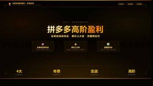 拼多多高阶盈利年费会员:全类目活动玩法、原价上大促、洗图防比价等核心盈利技术(更新26年3月-聊项目