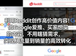利用Reddit创作高价值内容！做Google爱推、买家想买的内容，不用瞎猜需求，实现从流量到销量的高效转化-聊项目