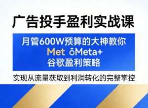 广告投手盈利实战课，月管600W预算的大神教你Meta+谷歌盈利策略，实现从流量获取到利润转化的完整掌控-聊项目