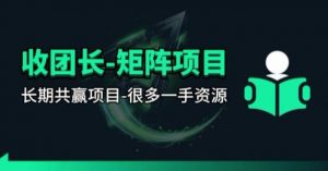 【团长合作】视频矩阵项目_招发手矩阵+剪辑师,共赢项目【揭秘】-聊项目