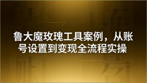 引流创业粉卖软件教学：鲁大魔玫瑰工具案例，从账号设置到变现全流程实操-聊项目