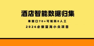 酒店智能数据归集,小众蓝海已经稳定半年之久,单窗口70+零成本矩阵开干【揭秘】-聊项目