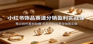 小红书饰品赛道分销盈利实战课:笔记创作素材拍摄,从起号到运营全链路实操-聊项目