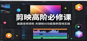 剪映高阶必修课:画面音频调色,关键帧AI功能案例落地实操-聊项目