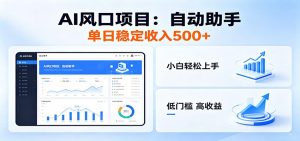 全新AI自动助手项目,低门槛入局,每日稳定收益500以上-聊项目