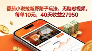 番茄小说拉新野路子玩法,无脑怼视频,每单10元,40天收益27950-聊项目