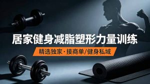 抖音健身热门短视频教学：居家健身减脂塑形力量训练，精选独家，接商单或者健身私域-聊项目