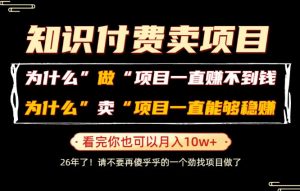 普通人为什么能够靠卖项目轻松月入10W+，而做项目却容易成炮灰，卖项目为什么能够稳賺不赔？【揭秘】-聊项目