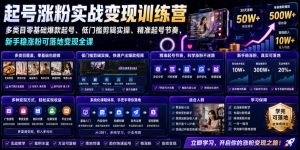 苗子起号涨粉实战变现训练营,多类目零基础爆款起号、精准起号节奏、新手稳涨粉可落地变现全课-聊项目