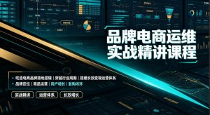 品牌电商运维实战精讲课程|吃透电商品牌落地逻辑、穿越行业周期、搭建长效变现运营体系-聊项目