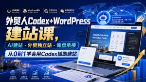 外贸人Codex+WordPress建站课,AI建站·外贸独立站·询盘承接,从0到1学会用Codex辅助建站-聊项目