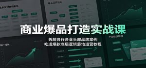 商业爆品打造实战课:拆解各行各业头部品牌案例,吃透爆款底层逻辑落地运营教程-聊项目