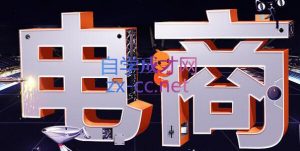 幕思城·淘宝培训VIP课程(更新7月)-聊项目
