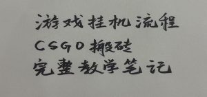游戏挂机全流程笔记分享，CSGO游戏搬砖，小白看了当天学会见收益-聊项目