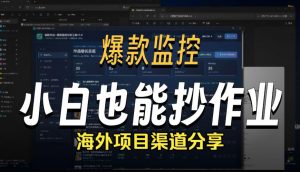 抖音爆款数据监控工具_海外网盘拉新渠道-聊项目