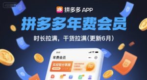 拼多多年费会员,实经验分享操,时长拉满,干货拉满(更新260812)-聊项目