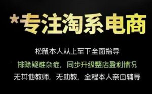 松鼠会电商VIP课程,从基础布局到高阶优化,助你掌握淘宝运营逻辑,提升店铺流量与转化(更新0815)-聊项目