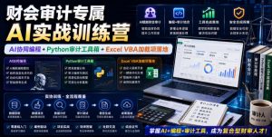 财会审计专属AI实战训练营｜AI协同编程+Python审计工具箱+Excel VBA加载项落地(更新0816)-聊项目