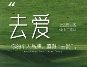 去爱14天鹿大米线上工作坊,你的个人品牌,值得“去爱”-聊项目